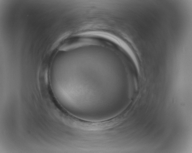 X0000082990019200702011441