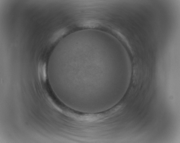 X0000082990020200702011441