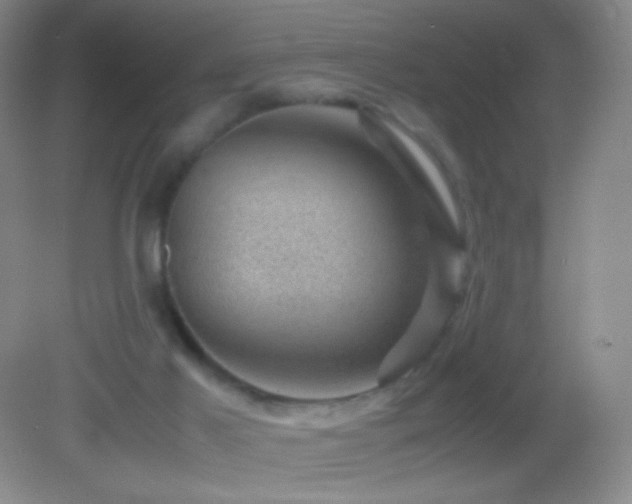 X0000082990021200702011441