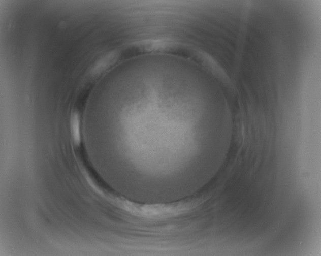 X0000082990022200702011441