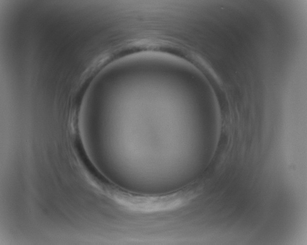 X0000082990023200702011440