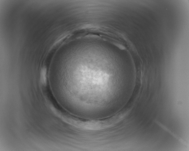 X0000082990024200702011440