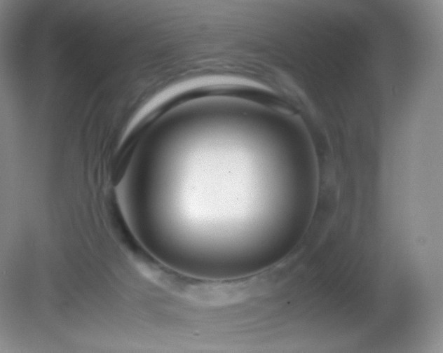 X0000082990025200702011440