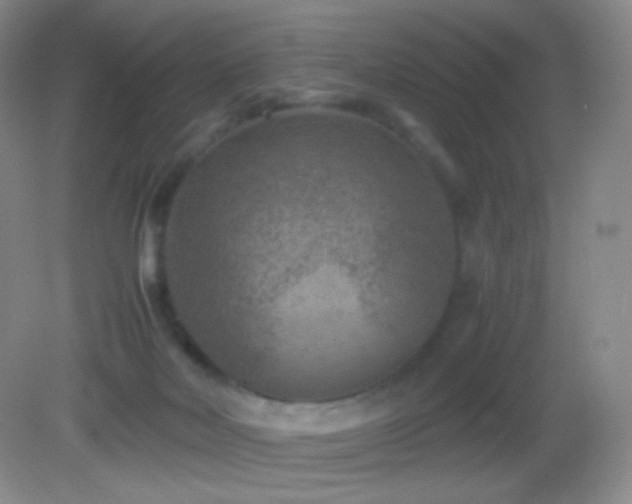 X0000082990026200702011440