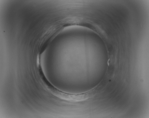 X0000082990027200702011440