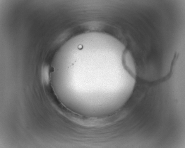 X0000082990028200702011440