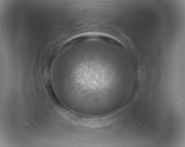 X0000082990029200702011440