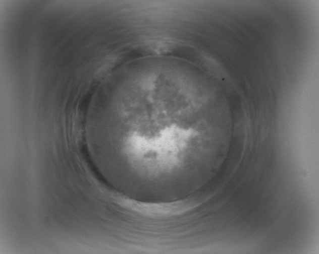 X0000082990030200702011440