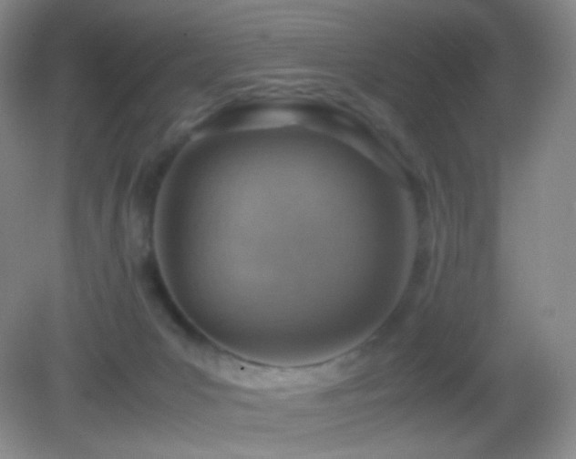 X0000082990031200702011440