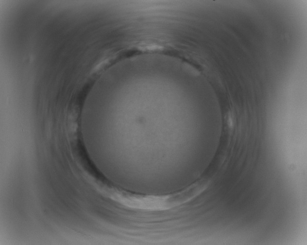 X0000082990032200702011440