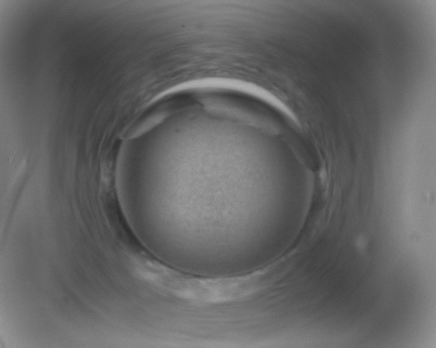 X0000082990033200702011440