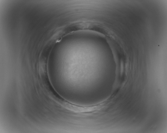 X0000082990035200702011440