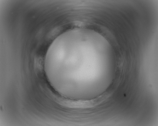 X0000082990036200702011440