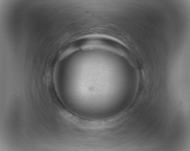 X0000082990037200702011440