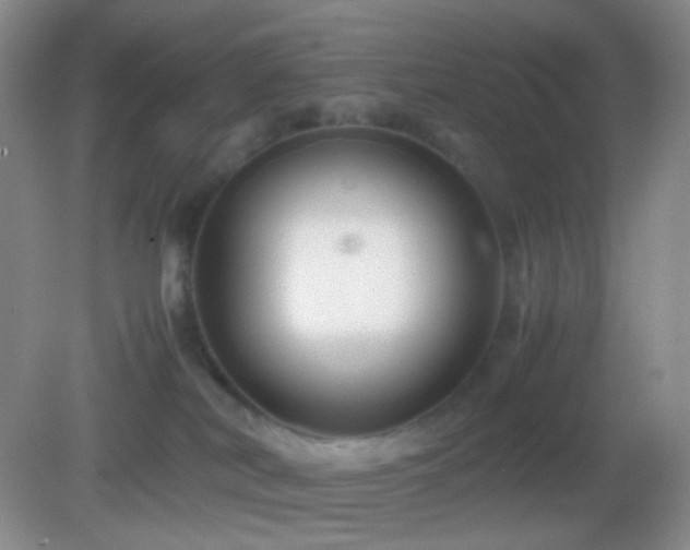 X0000082990038200702011440