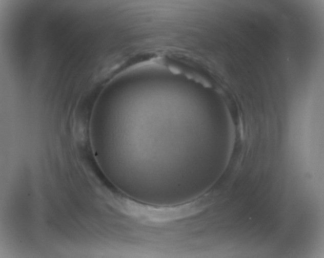 X0000082990039200702011440