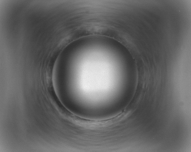 X0000082990040200702011440