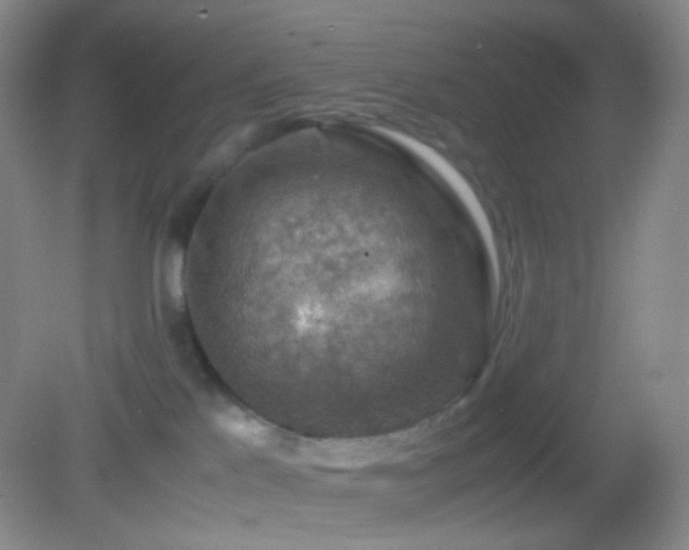 X0000082990041200702011440