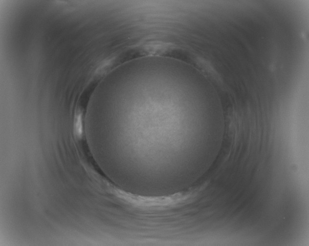 X0000082990042200702011440