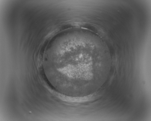 X0000082990043200702011440