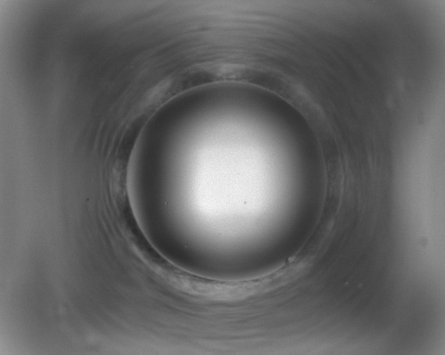 X0000082990044200702011440