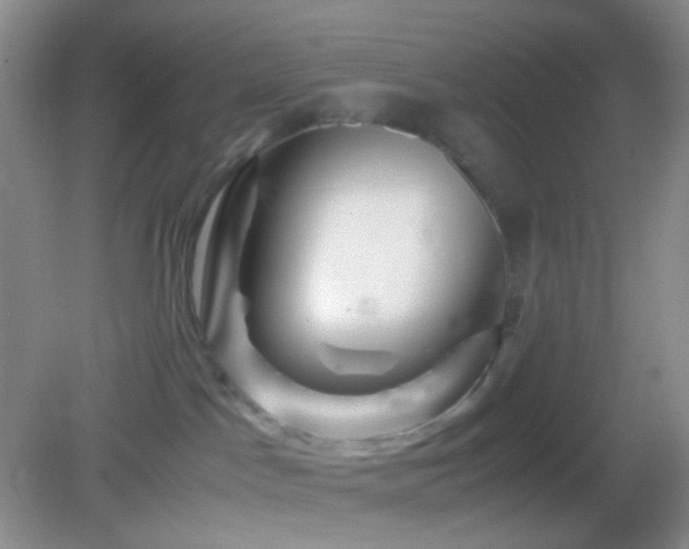 X0000082990045200702011440