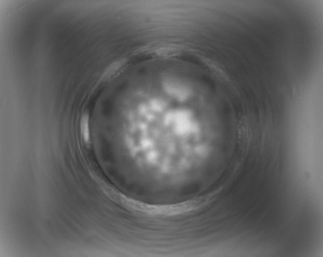 X0000082990046200702011440