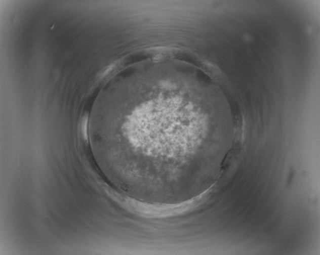 X0000082990047200702011440