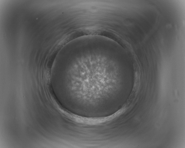 X0000082990048200702011440