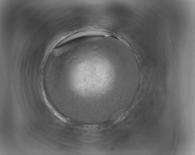 X0000082990049200702011439