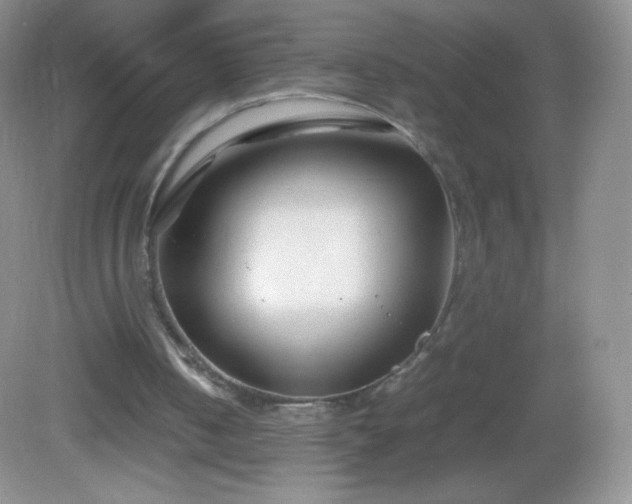 X0000082990050200702011439