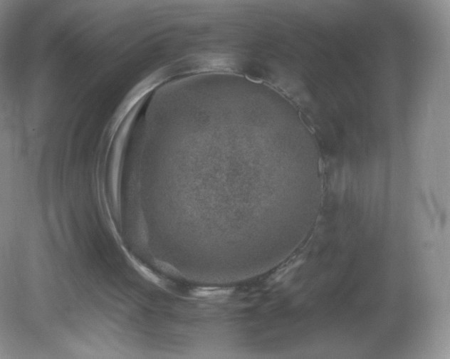 X0000082990051200702011439