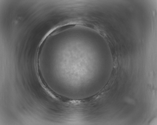 X0000082990052200702011439