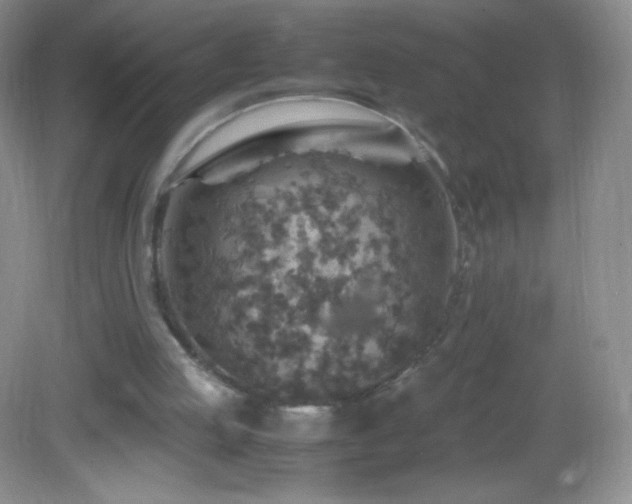 X0000082990053200702011439