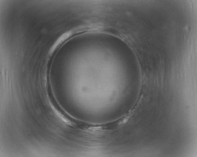 X0000082990054200702011439