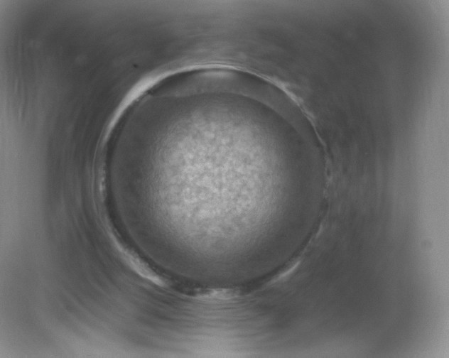 X0000082990056200702011439