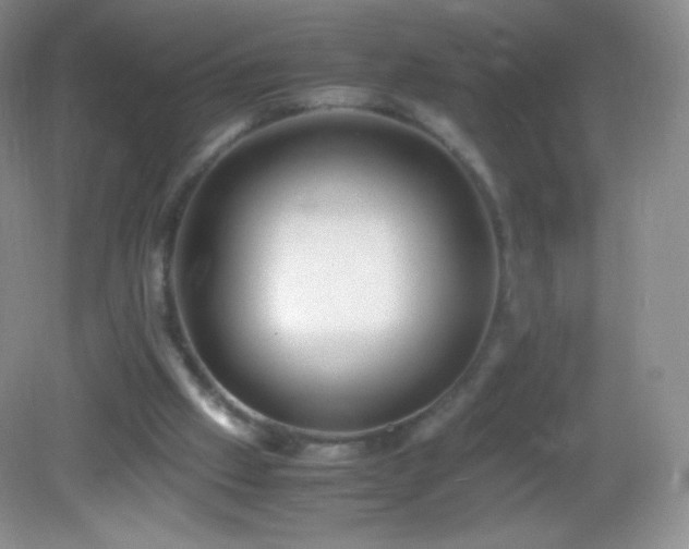 X0000082990057200702011439