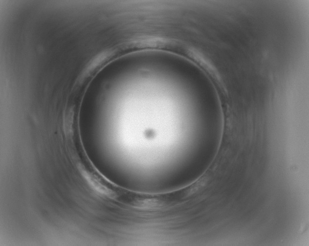 X0000082990058200702011439