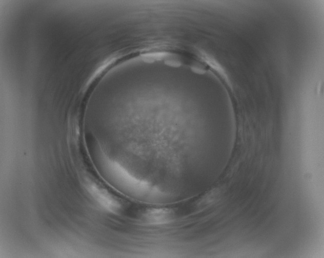 X0000082990059200702011439