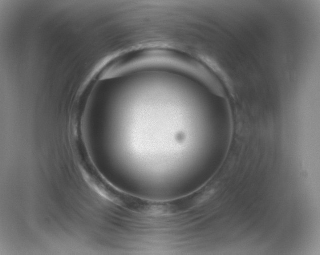 X0000082990060200702011439