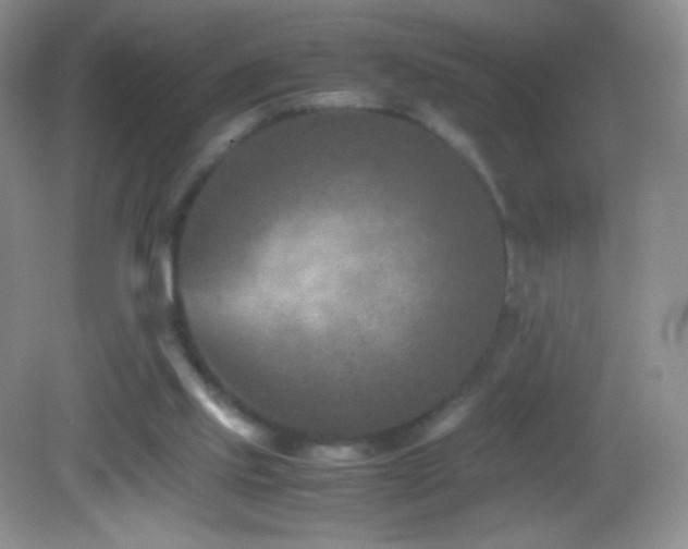 X0000082990061200702011439