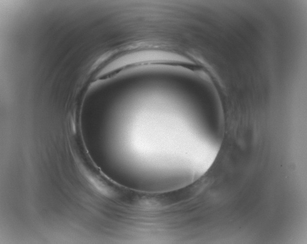 X0000082990062200702011439