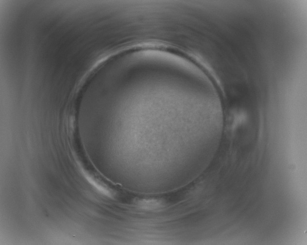 X0000082990063200702011439