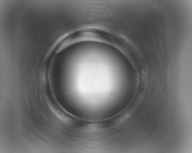 X0000082990064200702011440