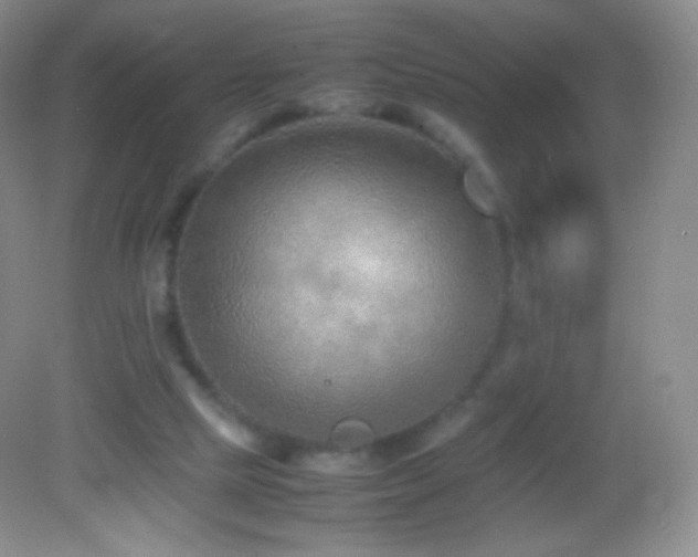 X0000082990065200702011440