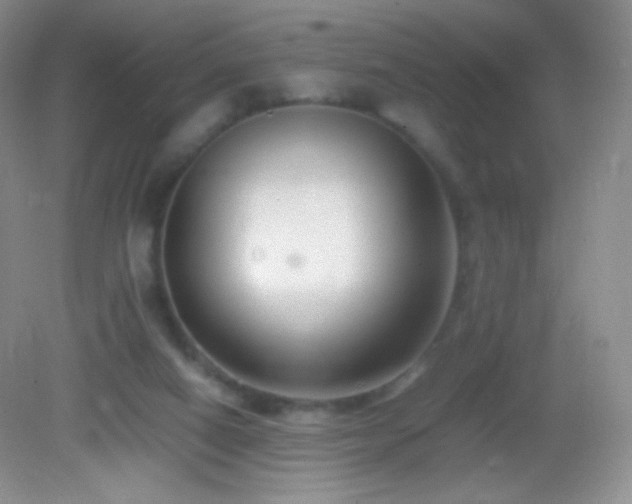 X0000082990066200702011440