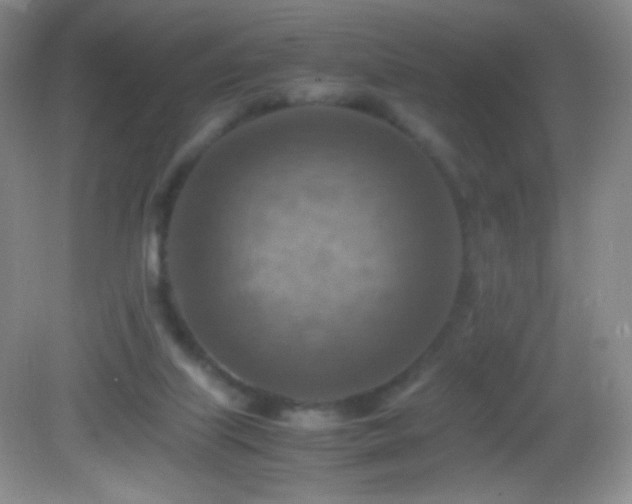 X0000082990067200702011440