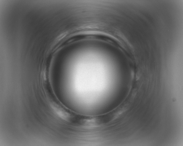 X0000082990068200702011440