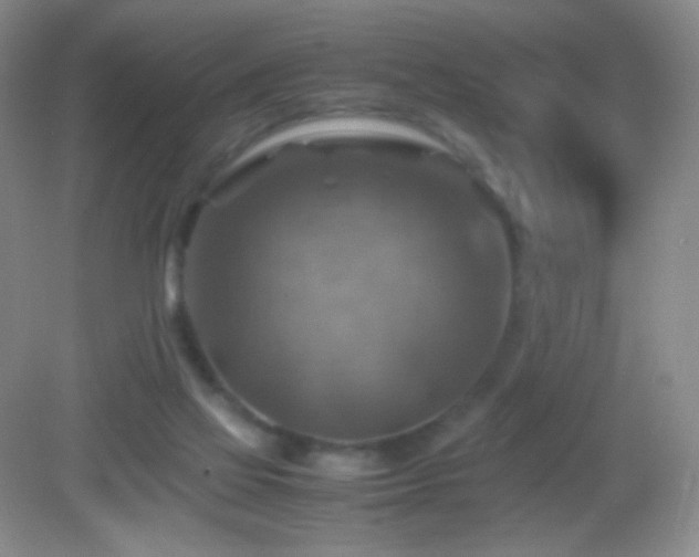 X0000082990069200702011440