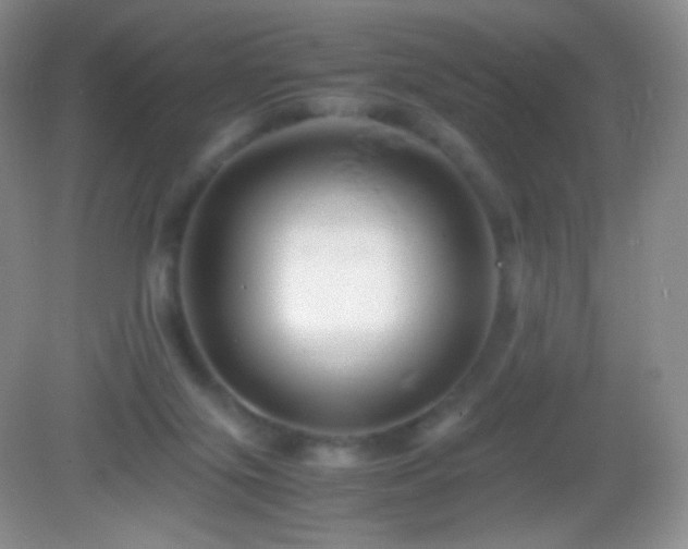 X0000082990071200702011440